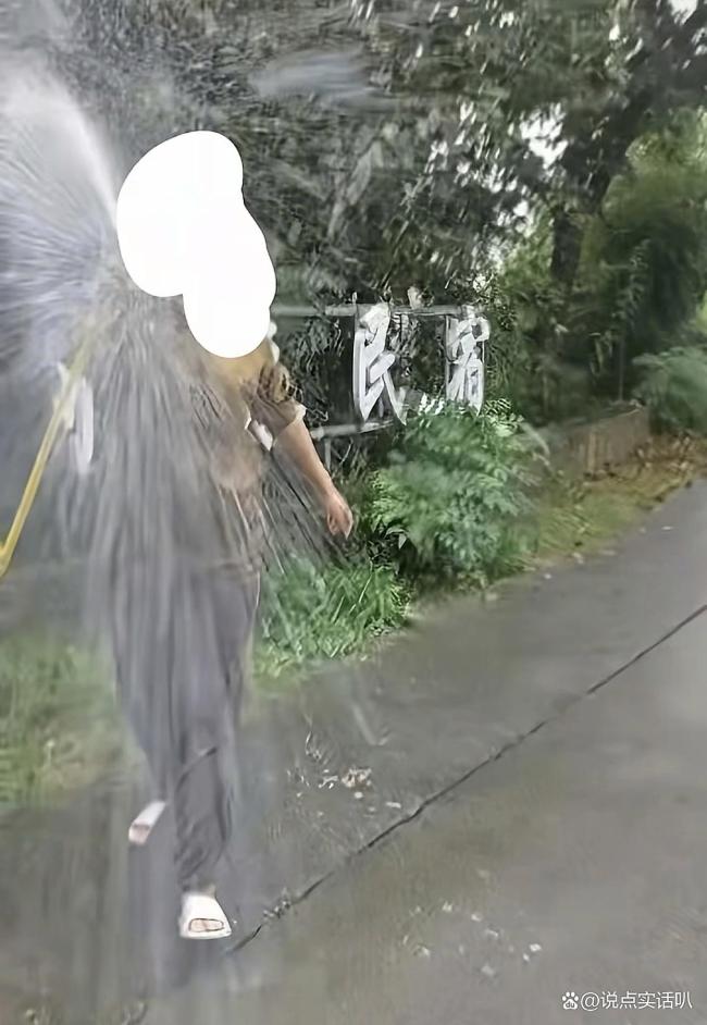 游客称捡板栗壳被民宿老板娘诬陷偷盗 一场误会引发的风波