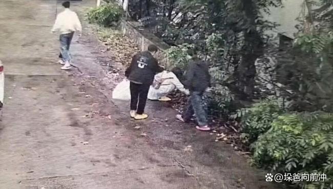 连云港文旅因捡板栗壳事件被催上班 一人毁一城再现