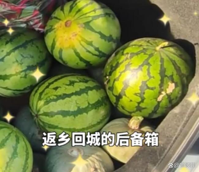 后备箱塞满父母的爱 移动的农家乐