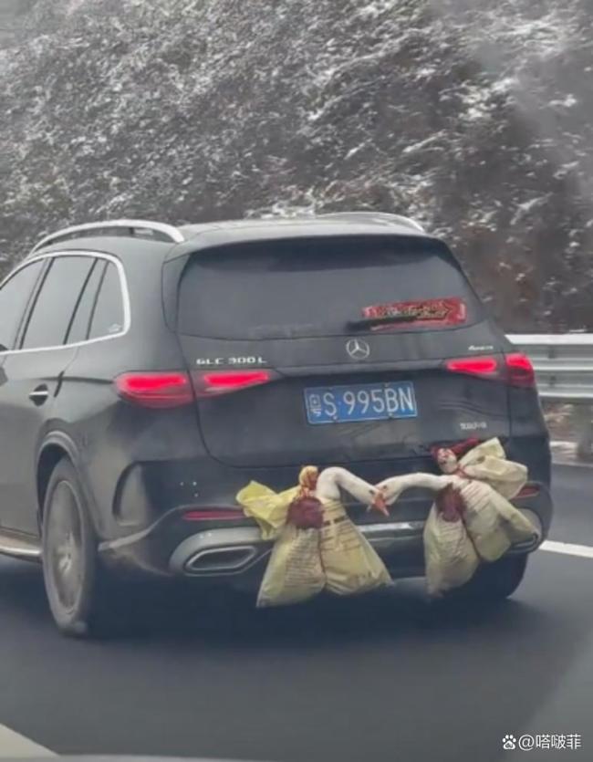 后备箱塞满父母的爱 移动的农家乐