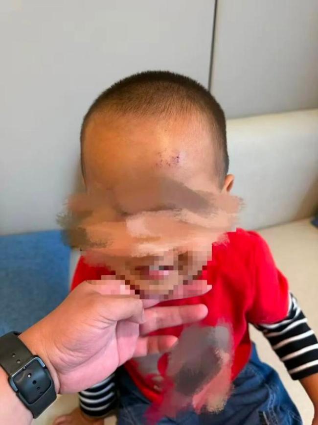 小伙爬山抬头瞬间救了个孩子 景区安全引反思
