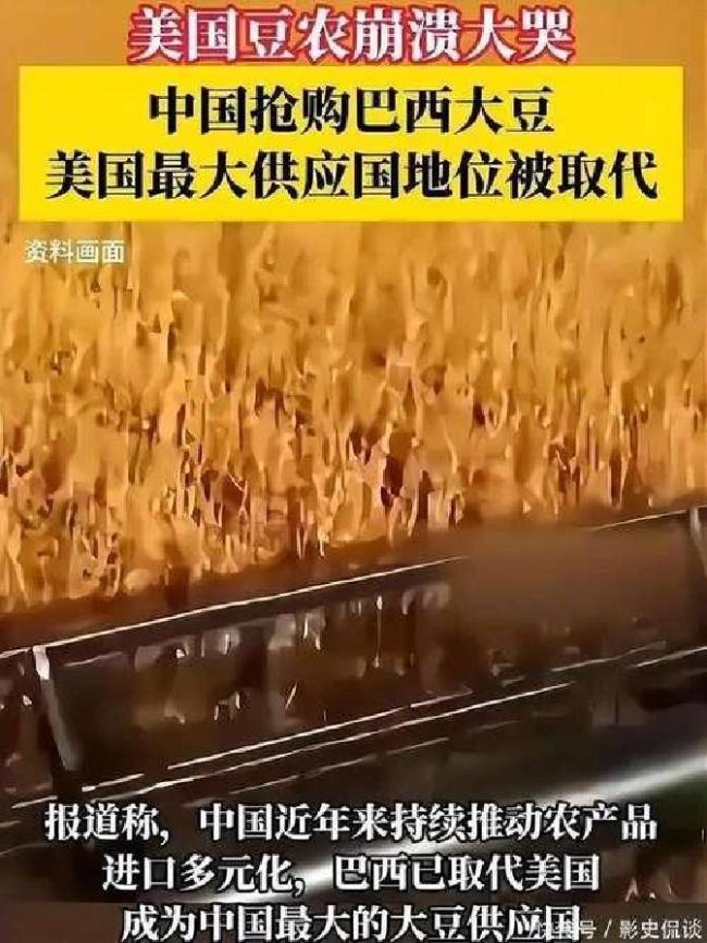 中国停购美国大豆有何影响