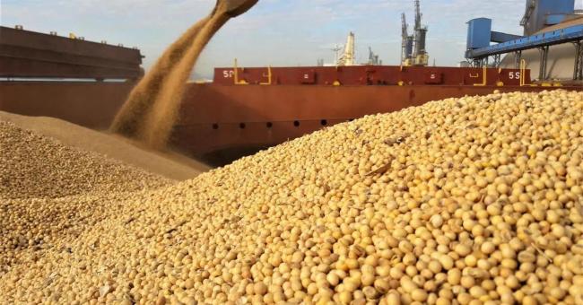 中国停购美国大豆有何影响 美豆农遭受重创