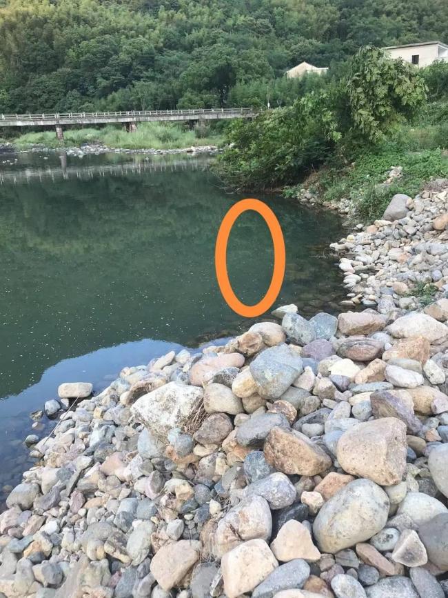 小伙跌砂石坑后智残家属索赔271万 安全防护缺失惹祸