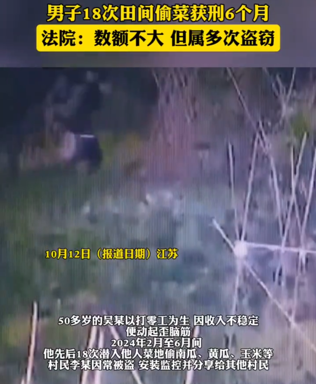 男子4个月偷菜18次获刑6个月 多次盗窃终受罚