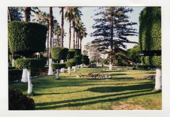 加沙战争结束 和平曙光再现