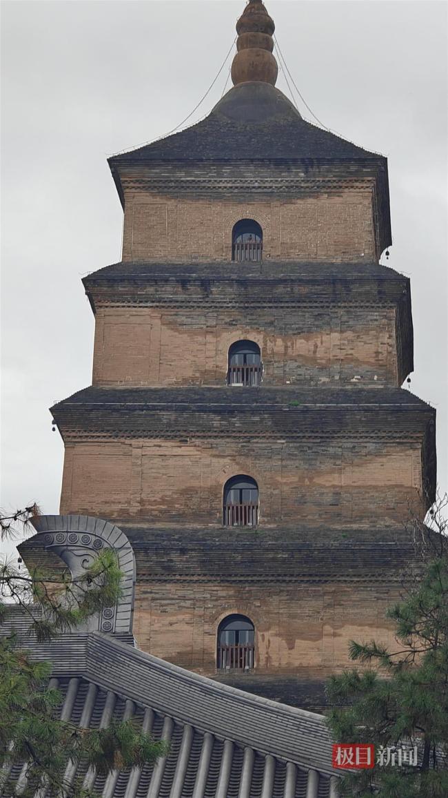 西安连续降雨1个多月：遍地长蘑菇，城市变“潮”景
