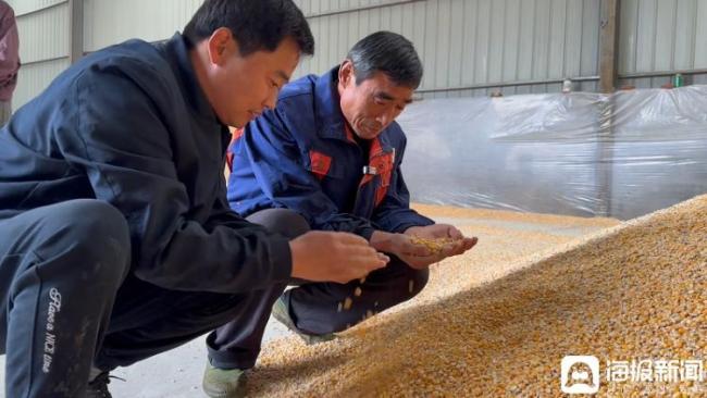 山东各地打响秋粮“脱水战” 烘干服务助农护粮