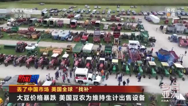 美豆滞销陷绝境,国人献策种大麻！