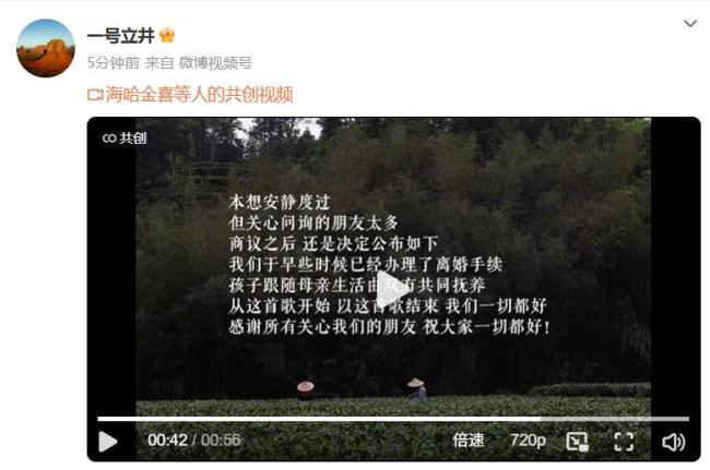 李亚鹏与海哈金喜离婚