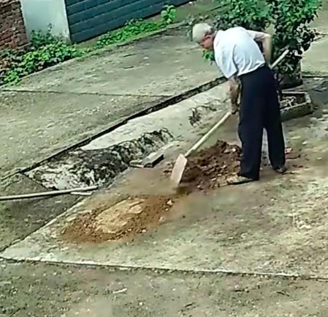 78岁爷爷为开车回家的孙女停车方便,直接将门口对绿植铲掉