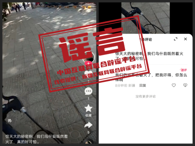 今日辟謠（2025年10月15日）