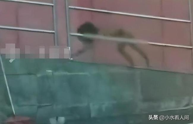 野人小孩父母均大学毕业 极端自然教养引争议