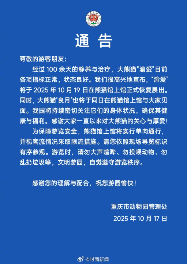 重庆动物园大熊猫“渝爱”将恢复展出
