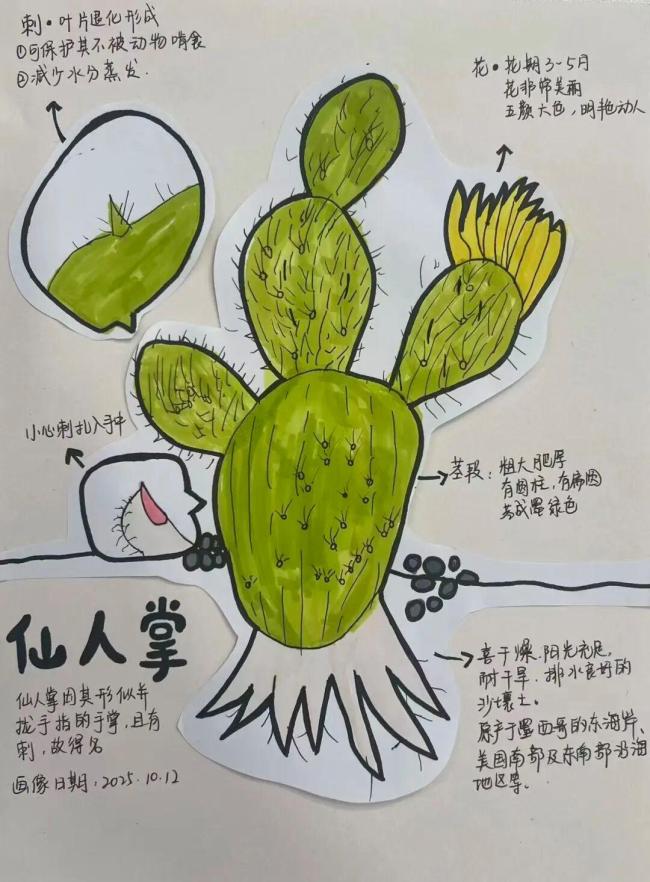 一年级孩子遭遇“开学最大打击” 种植作业引发家长共鸣