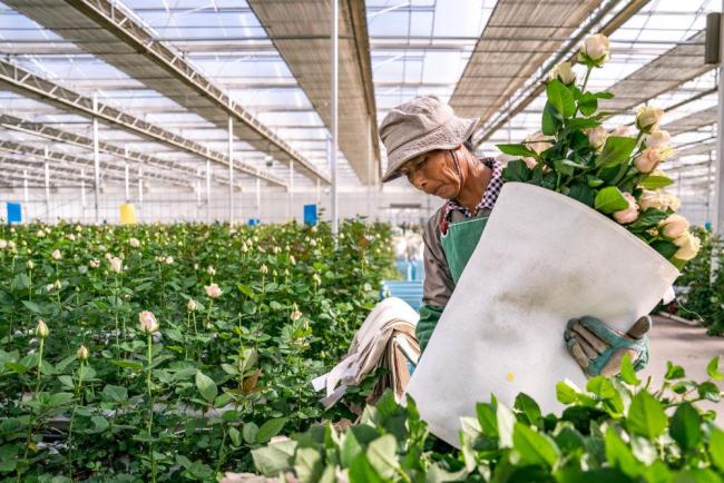 时政微观察丨非凡“十四五”,民生答卷有厚度更有温度