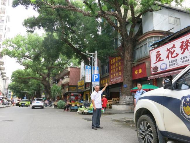 男子多次给220年古树投毒被控制 因遮挡采光起杀心