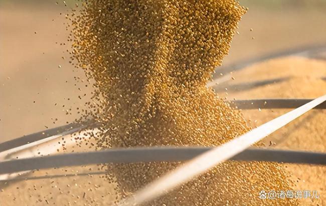 今年美国农民会赔钱吗 贸易战下的大豆危机