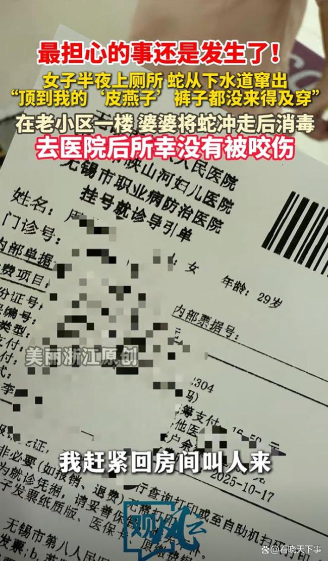 女子半夜上厕所被一条蛇顶到屁股 老小区马桶惊现不速之客