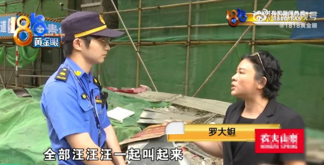 退休大爷把房子让给40条狗住 善举引发邻里争议