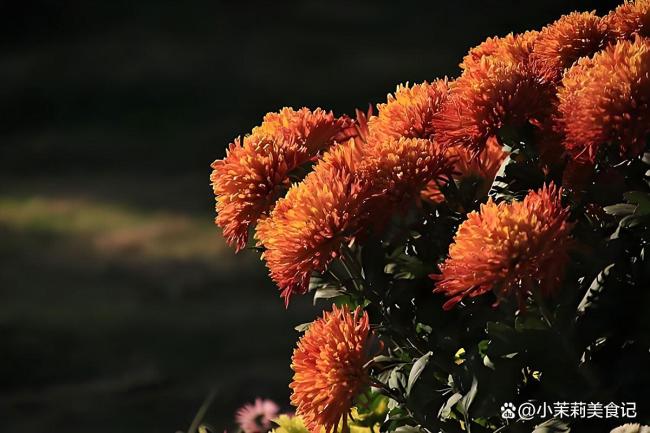 明日九月初一，最不能做的5件事