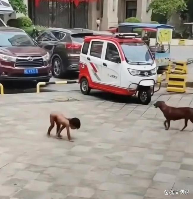 野人小孩家长的自然教育被指极端 反文明行为引争议