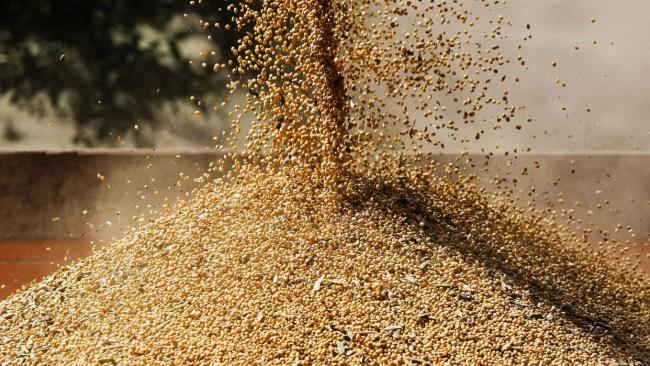 特朗普口风180度转变为哪般 现实压力下的妥协