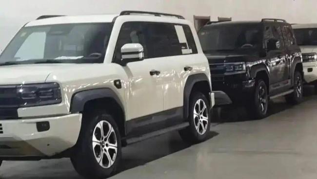 方程豹豹5长续航版上市