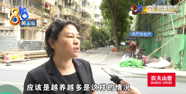 大爷把房子让给40多条狗住 养狗为善事！