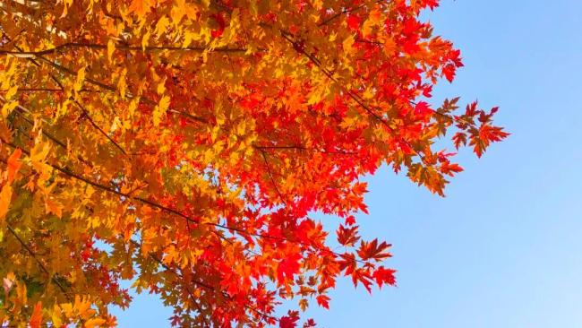 北京今日雨雪添寒意，京城进入持续阴冷模式