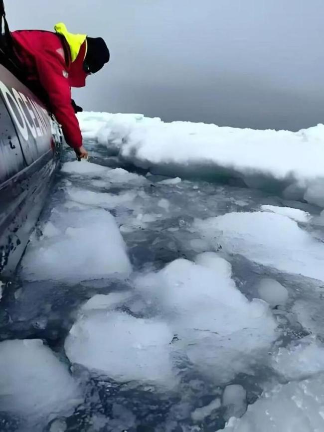 南极旅游价格大跳水 多家旅行社回应 5万玩转不现实