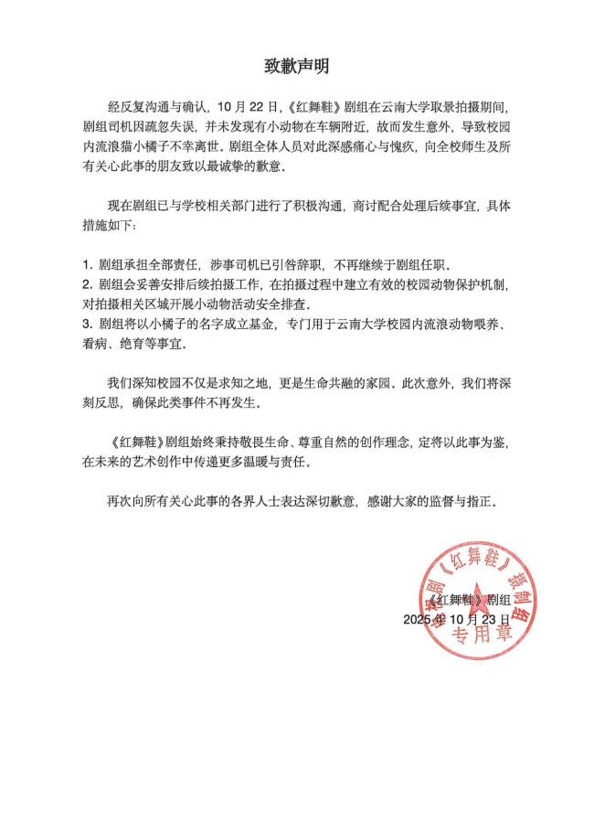红舞鞋剧组用疏忽搪塞撞猫 致歉声明引发热议