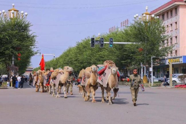 新疆20多人骑骆驼去洛阳