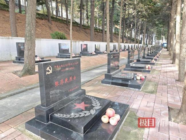 他带1650个苹果到抗美援朝烈士陵园 缅怀先烈送温暖