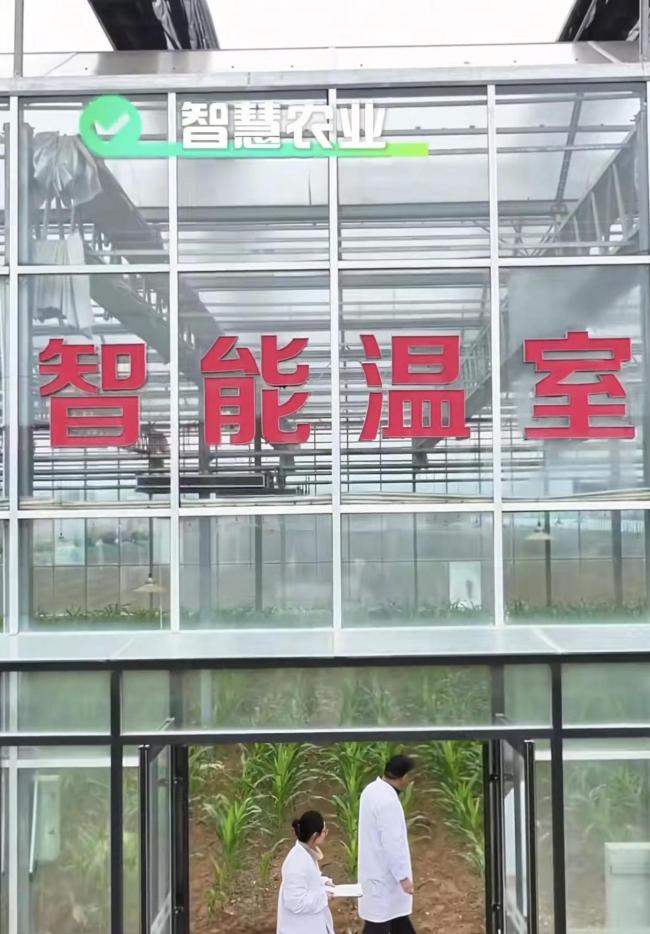 董宇辉回家乡参加杨凌农高会 农业科技新成果引关注