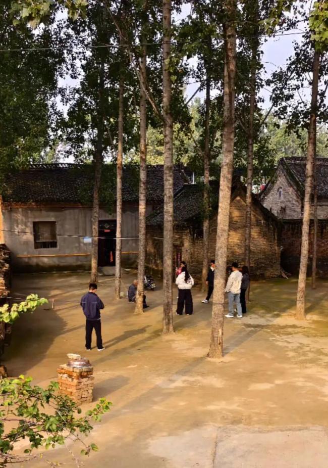 河南一大爷院子太干净成打卡地