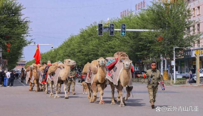队长回应新疆20多人骑骆驼去洛阳