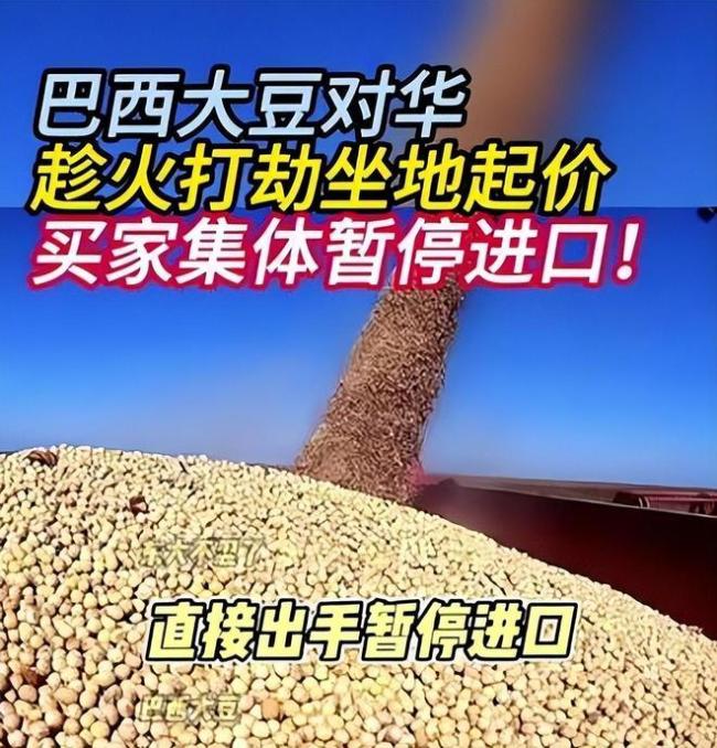 巴西大豆涨价的真相是什么 贸易摩擦下的市场反应