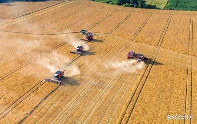 特朗普的关税“套路”曝光 胡萝卜加大棒策略再现