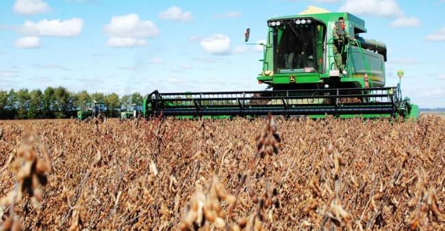 中國會恢復從美國進口大豆嗎 豆農(nóng)困境引關注