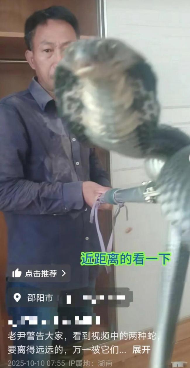 网红被毒蛇咬嫌血清贵离去后失联 直播抓蛇者失踪引发关注