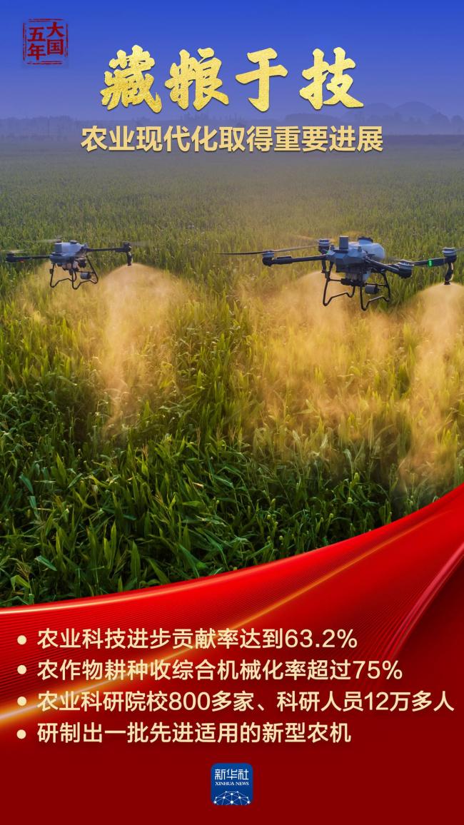 大国饭碗 吃得好端得牢 丰收答卷显底气