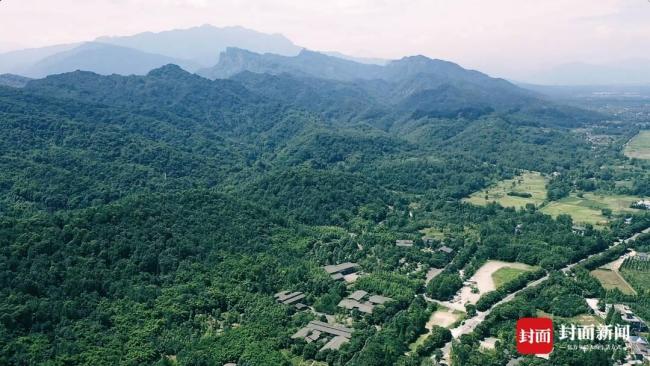 探訪全球唯一“熊貓養(yǎng)老院”！康養(yǎng)區(qū)里住10只高齡大熊貓，平均年齡近30歲