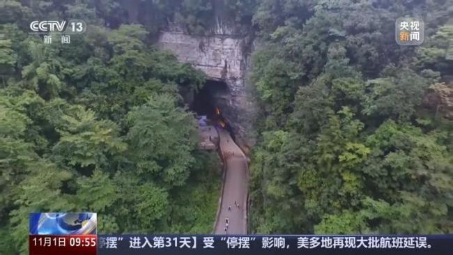 亚洲最长山洞再现6具大熊猫化石 揭示远古生态面貌