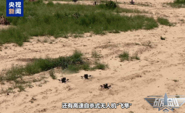 全域感知、精准狙杀 “智能蜂群”出击!