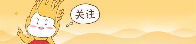 只把价格打下来不是真“榴莲自由” 品质与产量的平衡之道