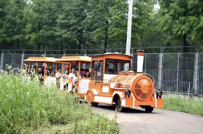 “苏超”夺冠后，泰州市官宣→