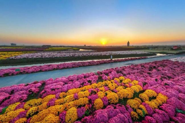 “苏超”夺冠后，泰州市官宣→