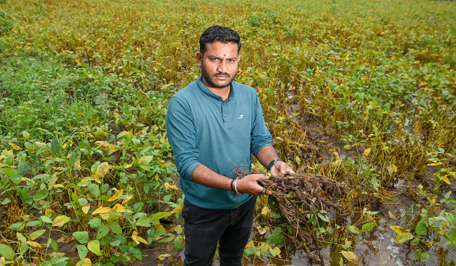 财经观察：农民困境削弱莫迪对美贸易谈判筹码