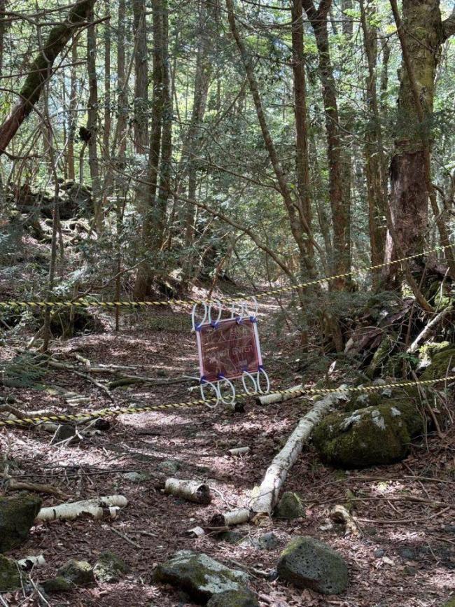 中国女生失联前曾打听日本自杀森林 多方力量紧急寻人